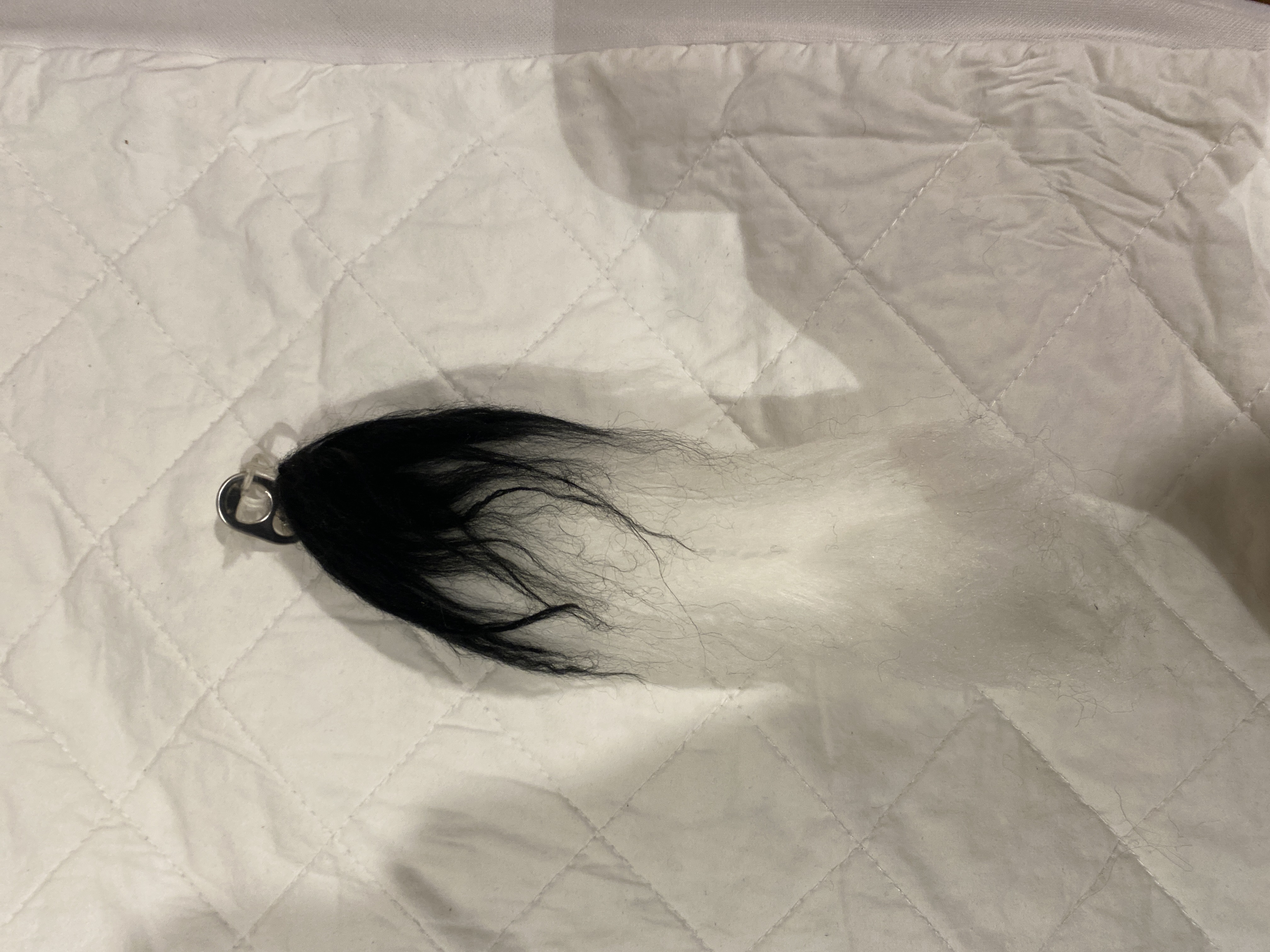 a brushed yarn tail with a third of it being black and the rest being white.