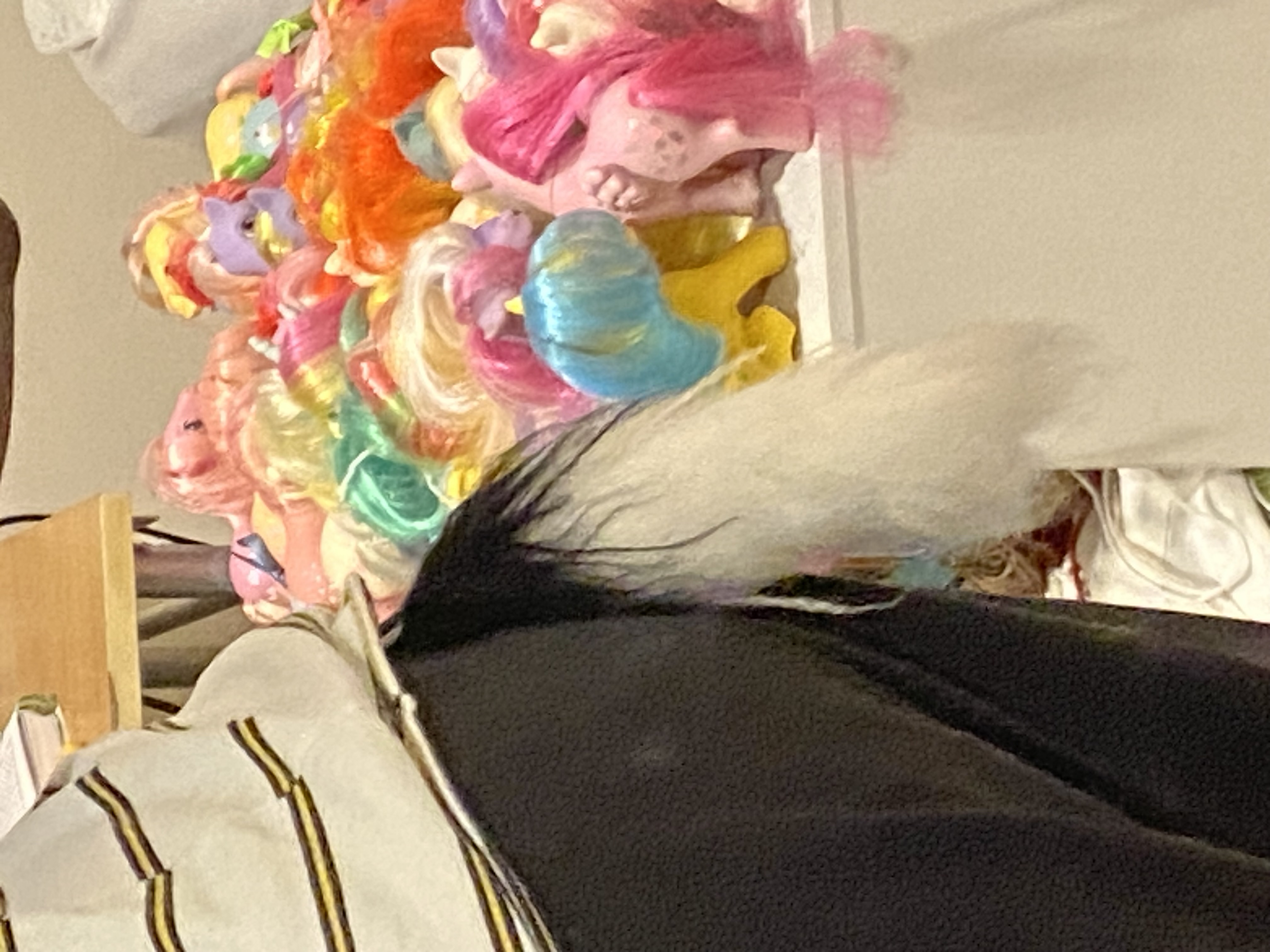 a brushed yarn tail with a third of it being black and the rest being white attached to the back of my pants. generation one my little pony toys are visible in the image.